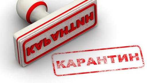 Роз’яснення щодо відпусток працівників АТП №1 на час карантину