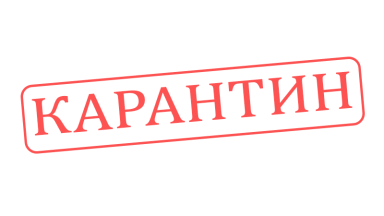 Випуск автобусів тимчасово скорочено через захворювання водіїв